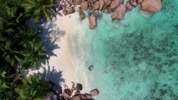 Praslin Seychellen tropische Insel mit weiten Stränden und Palmen, Anse Lazio Strand, Palme steht über einsamen tropischen Insel Traumstrand in Anse Lazio, Seychellen — Stockvideo