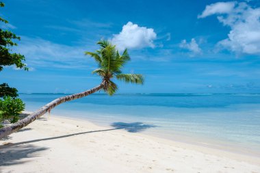 Mahe Seyşeller, Mahe Seyşeller 'de palmiye ağaçları ve mavi okyanuslu tropikal plaj Anse Royale plajı Seyşeller Mahe