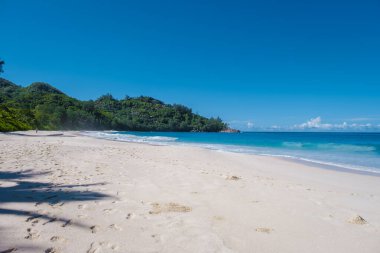 Anse Intendance beach Mahe Seychelles, tropical beach with palm trees Seychelles Mahe