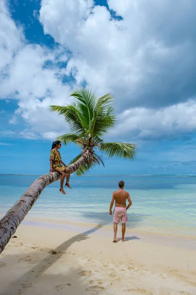 Mahe Seyşeller, Mahe Seyşeller sahilinde palmiye ağaçları ve mavi okyanuslu tropikal plaj. Seyşeller 'de tatilde olan çift ve kadın.