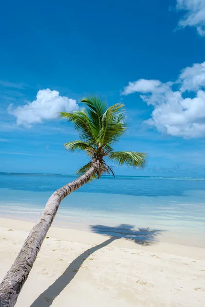 Mahe Seychelles, tropical beach with palm trees and a blue ocean at Mahe Seychelles Anse Royale beach Seychelles Mahe – stockfoto
