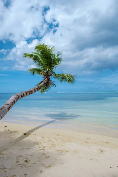 Mahe Seychelles, tropical beach with palm trees and a blue ocean at Mahe Seychelles Anse Royale beach Seychelles Mahe — Stockfoto
