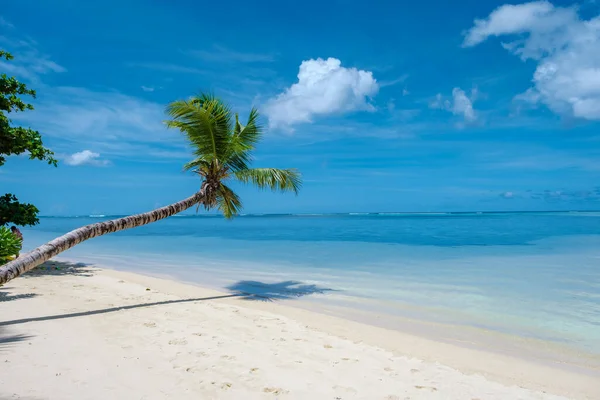 Mahe Seychelles, tropical beach with palm trees and a blue ocean at Mahe Seychelles Anse Royale beach Seychelles Mahe — Foto de Stock