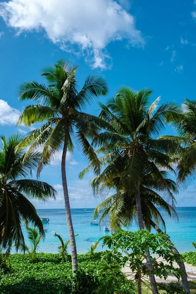 Mahe Seychelles, tropical beach with palm trees and a blue ocean at Mahe Seychelles Anse Royale beach Seychelles Mahe — Foto de Stock