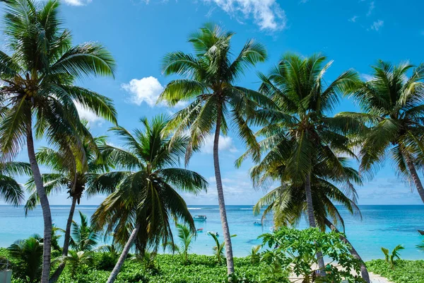 Mahe Seyşeller, Mahe Seyşeller 'de palmiye ağaçları ve mavi okyanuslu tropikal plaj Anse Royale plajı Seyşeller Mahe