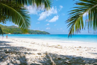 Anse Lazio Praslin Seyşeller, Seyşeller 'de lüks bir tatil sırasında tropikal bir plaj. Tropik plaj Anse Lazio Praslin Seyşeller