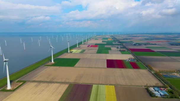 Huge windmill turbines, Offshore Windmill farm in the ocean Westermeerwind park , windmills isolated at sea on a beautiful bright day Netherlands Flevoland Noordoostpolder — Vídeo de Stock