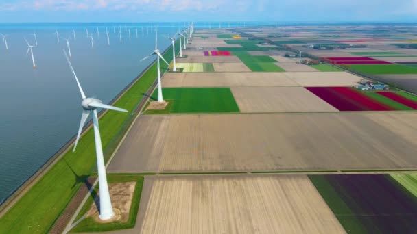 Huge windmill turbines, Offshore Windmill farm in the ocean Westermeerwind park , windmills isolated at sea on a beautiful bright day Netherlands Flevoland Noordoostpolder — Vídeo de Stock