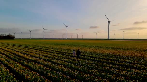 Offshore Windmill fazenda no oceano Westermeerwind parque, moinhos de vento isolado no mar belo dia brilhante Holanda Flevoland Noordoostpolder. casal de homem e mulher assistindo por do sol no campo de tulipas — Vídeo de Stock