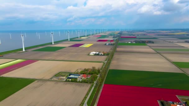 Huge windmill turbines, Offshore Windmill farm in the ocean Westermeerwind park , windmills isolated at sea on a beautiful bright day Netherlands Flevoland Noordoostpolder — Stockvideo