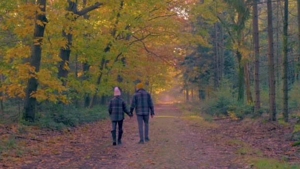 Par man och kvinna medelåldern promenader i skogen under höstsäsongen i naturen vandring med orange röda färgträd under höstsäsongen i Nederländerna Drentsche Aa — Stockvideo