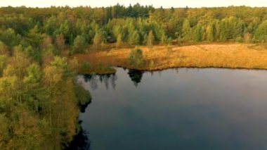 Ekim ayında ulusal park Drentsche Aa 'da turuncu kırmızı ağaçlı sonbahar renkleri. Hollanda' da sonbahar mevsimi boyunca Drenthe 'de renkli sonbahar ağaçları.