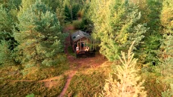 オランダの秋の森の中の木造小屋、グリッドオフキャビン、カラフルな黄色と赤の秋の木に囲まれた木造キャビン — ストック動画