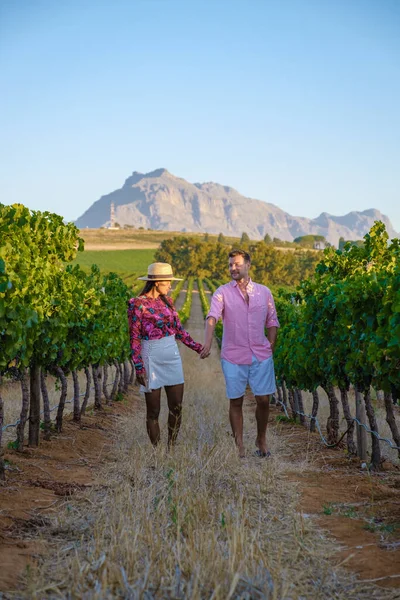 Vineyard landscape at sunset with mountains in Stellenbosch, near Cape Town, South Africa