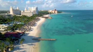 Palm Beach Aruba, muhteşem tropikal plaj, okyanusa dalan palmiye ağacı, altın kum ve mavi gökyüzü.