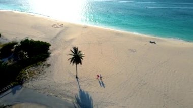 Palm Beach Aruba Karayipleri, Aruba 'da palmiye ağaçları olan beyaz kumlu kumlu plaj, Aruba' da büyük palmiye ağaçları olan plajda dinlenen kadın ve erkek.