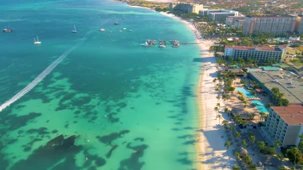 Palm beach Aruba, Increíble playa tropical con palmeras que ingresan al océano contra el océano azul, arena dorada y cielo azul — Vídeo de stock