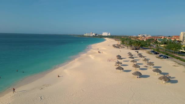 Palm beach Aruba, Incroyable plage tropicale avec palmier entrant dans l'océan contre l'océan azur, sable doré et ciel bleu — Video