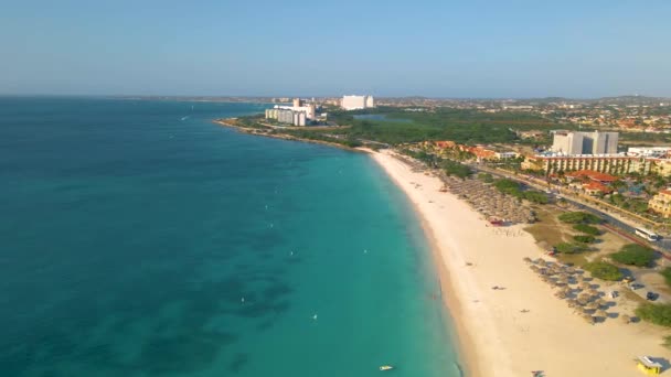 Palmová pláž Aruba, Úžasná tropická pláž s palmami vstupujícími do oceánu proti azurovému oceánu, zlatému písku a modré obloze — Stock video