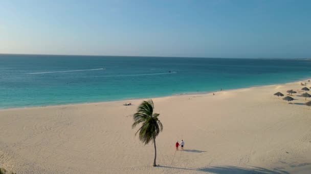 Spiaggia delle palme Aruba Caraibi, lunga spiaggia di sabbia bianca con palme ad Aruba, uomo e donna che si rilassano sulla spiaggia di Aruba con enormi palme — Video Stock