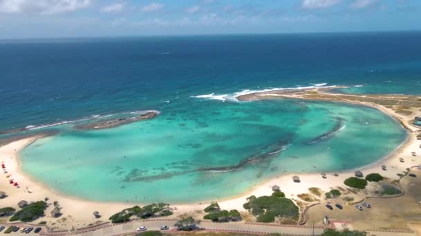 Aruba İnanılmaz Bebek Sahili ve Aruba, Karayipler kıyıları, mavi okyanus plajlı beyaz plaj — Stok video