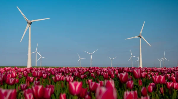 Huge windmill turbines, Offshore Windmill farm in the ocean Westermeerwind park , windmills isolated at sea on a beautiful bright day Netherlands Flevoland Noordoostpolder — стокове фото