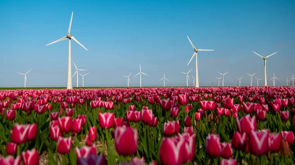 Huge windmill turbines, Offshore Windmill farm in the ocean Westermeerwind park , windmills isolated at sea on a beautiful bright day Netherlands Flevoland Noordoostpolder — Stock fotografie