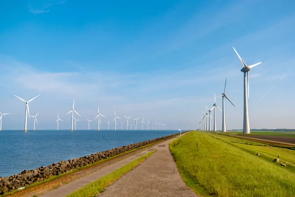 바다 서구 바람 공원에 있는 연안 풍차 농장, 해변에 있는 거대 한 풍차 공장, 어느 화창 한 날 네덜란드의 프레보 볼란드 노 로드 폴더에서 바다에 고립된 풍차 — 스톡 사진