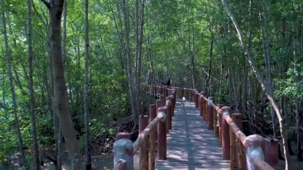 Прекрасна природа в національному парку Му Ко Чумфон знаходиться на півдні провінції Таїланд Чумфон, жінка, яка відвідує національні джунглі з дощівкою в Таїланді. — стокове відео