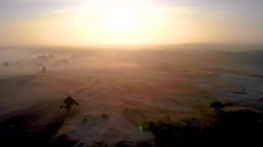 Posbank milli parkı Veluwezoom, Hollanda 'daki Veluwe' de gün doğumunda çiçek açan Heather arazileri, Posbank 'in mor tepeleri.