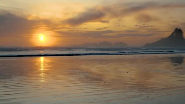 Tofino Vancouver Adası Pasifik kıyıları, Kanada, Tofino Vancouver Adası 'nda sisli plajda güzel bir gün batımı. — Stok video