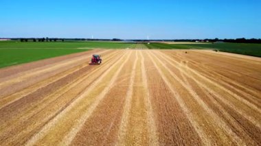 Tarlada çalışan makine traktörü hasat ediliyor. Drone Combine biçerdöver tarım makinesinden en iyi görüntü altın olgun buğday tarlasında, Noordoostpolder Hollanda 'da. Yüksek kalite 4k
