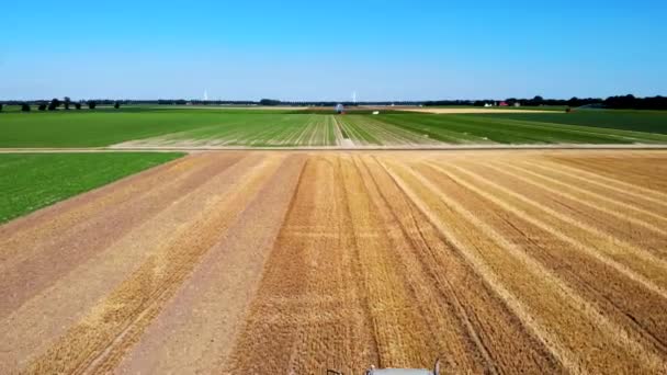 現場で働く機械トラクターの収穫 ドローンからのトップビューゴールデン熟した小麦 Noordoostpolderオランダの分野で収穫機の農業機械に乗るを組み合わせる 高品質4K — ストック動画