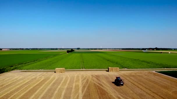 Tarlada Çalışan Makine Traktörü Hasat Ediliyor Drone Combine Biçerdöver Tarım — Stok video