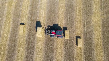 Tarlada çalışan makine traktörü hasat ediliyor. Drone Combine biçerdöver tarım makinesinden en iyi görüntü altın olgun buğday tarlasında, Noordoostpolder Hollanda 'da. Yüksek kalite 4k