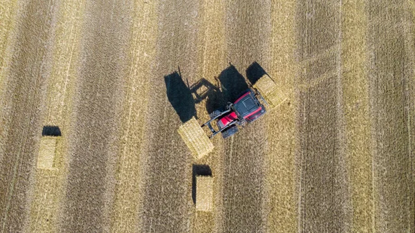 Tarlada Çalışan Makine Traktörü Hasat Ediliyor Drone Combine Biçerdöver Tarım — Stok fotoğraf