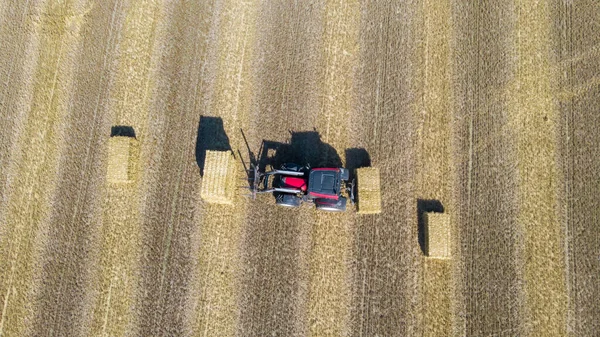 現場で働く機械トラクターの収穫 ドローンからのトップビューゴールデン熟した小麦 Noordoostpolderオランダの分野で収穫機の農業機械に乗るを組み合わせる 高品質4K — ストック写真