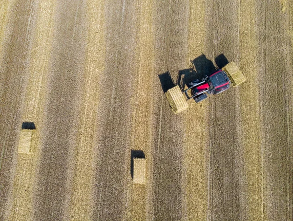 現場で働く機械トラクターの収穫 ドローンからのトップビューゴールデン熟した小麦 Noordoostpolderオランダの分野で収穫機の農業機械に乗るを組み合わせる 高品質4K — ストック写真