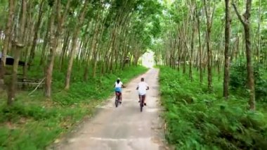 Koh Yao Tayland ormanında bisiklet süren iki erkek ve kadın, Tayland 'da lastik bir çiftliğin yanında bisiklet sürüyorlar.. 