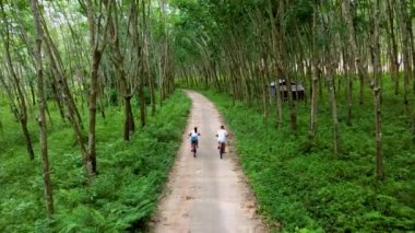 Koh Yao Tayland ormanında bisiklet süren iki erkek ve kadın, Tayland 'da lastik bir çiftliğin yanında bisiklet sürüyorlar.. 