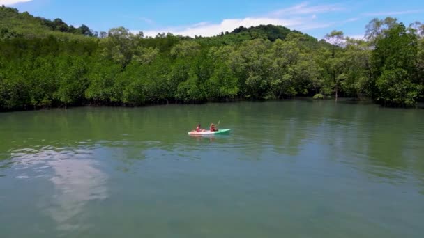 プーケット島のカヤックに乗っているカップル ヤシの木とマングローブの森のある熱帯の島のカヤックに乗っている男女 — ストック動画