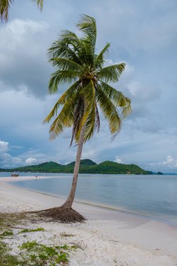 Koh Yao Tayland 'daki kumsal, beyaz kumlu ve palmiye ağaçlı plaj..
