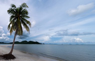 Koh Yao Tayland 'daki kumsal, beyaz kumlu ve palmiye ağaçlı plaj..