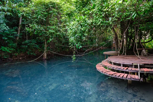 Klong Kaew Krabi Thailand Mangrovenwald Ist Beliebt Für Kajakfahren Fluss — Stockfoto