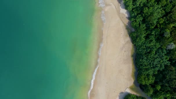 코란타 Lanta Krabi Thailand 파도에 드론이 해변의 — 비디오