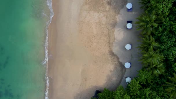 코란타 Lanta Krabi Thailand 파도에 드론이 해변의 — 비디오