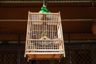 Koh Lanta Tayland, eski Koh Lanta kasabası, günbatımında. Koh Lanta 'daki eski ahşap ev.