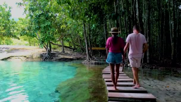 Lac Émeral Piscine Bleue Krabi Thaïlande Forêt Mangroves Est Populaire — Video