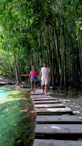 Lago Esmeralda Piscina Azul Bosque Manglares Krabi Tailandia Popular Para — Vídeo de stock