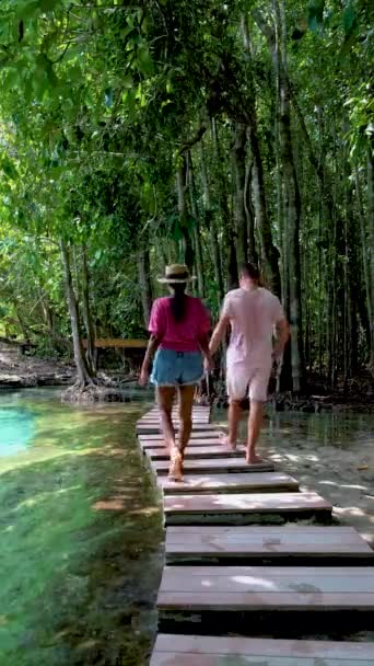 Emeral Lake Blue Pool Krabi Thailand Mangrove Forest Popular Kayaking — Stock Video